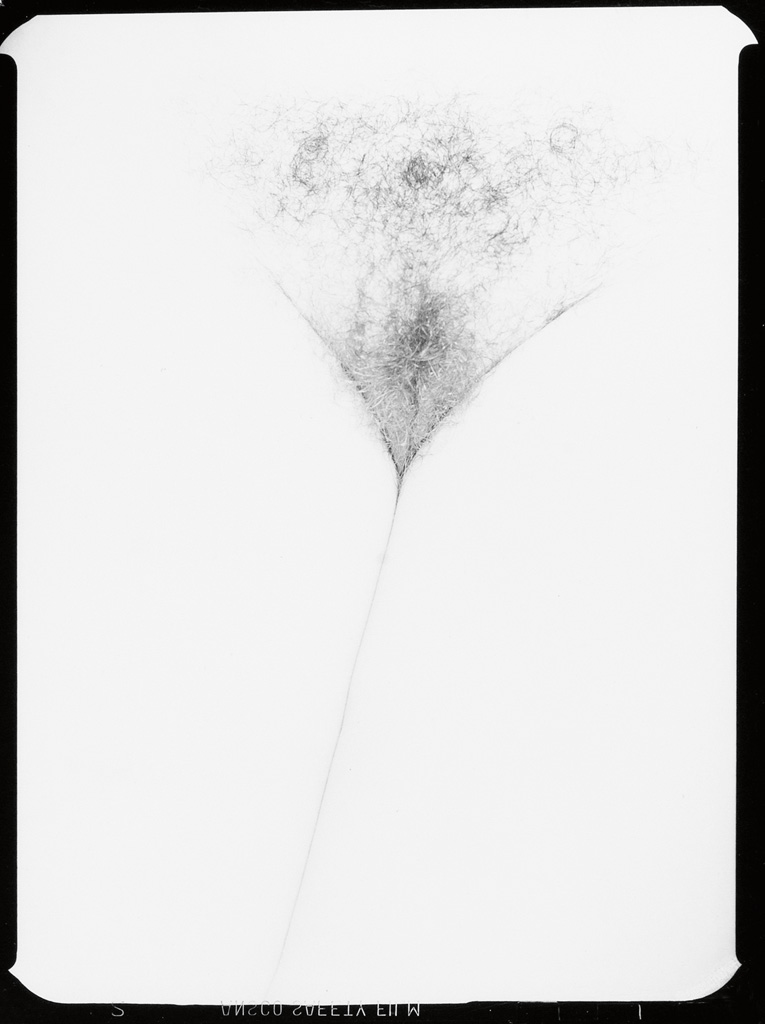 Appraisal: HARRY CALLAHAN - Eleanor Silver print x inches x cm