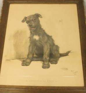 Appraisal: CECIL ALDIN Dog Print A Gentleman of Colour CECIL ALDIN