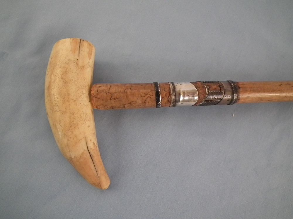 Appraisal: WHALE TOOTH CANE Antique in long cane with burlwood shaft