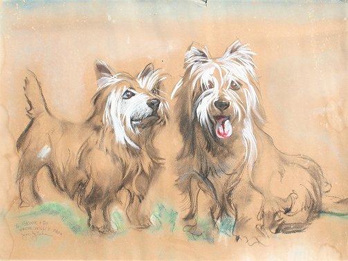 Appraisal: JICHA Joseph American - West Island White's Dog Gouache Watercolor