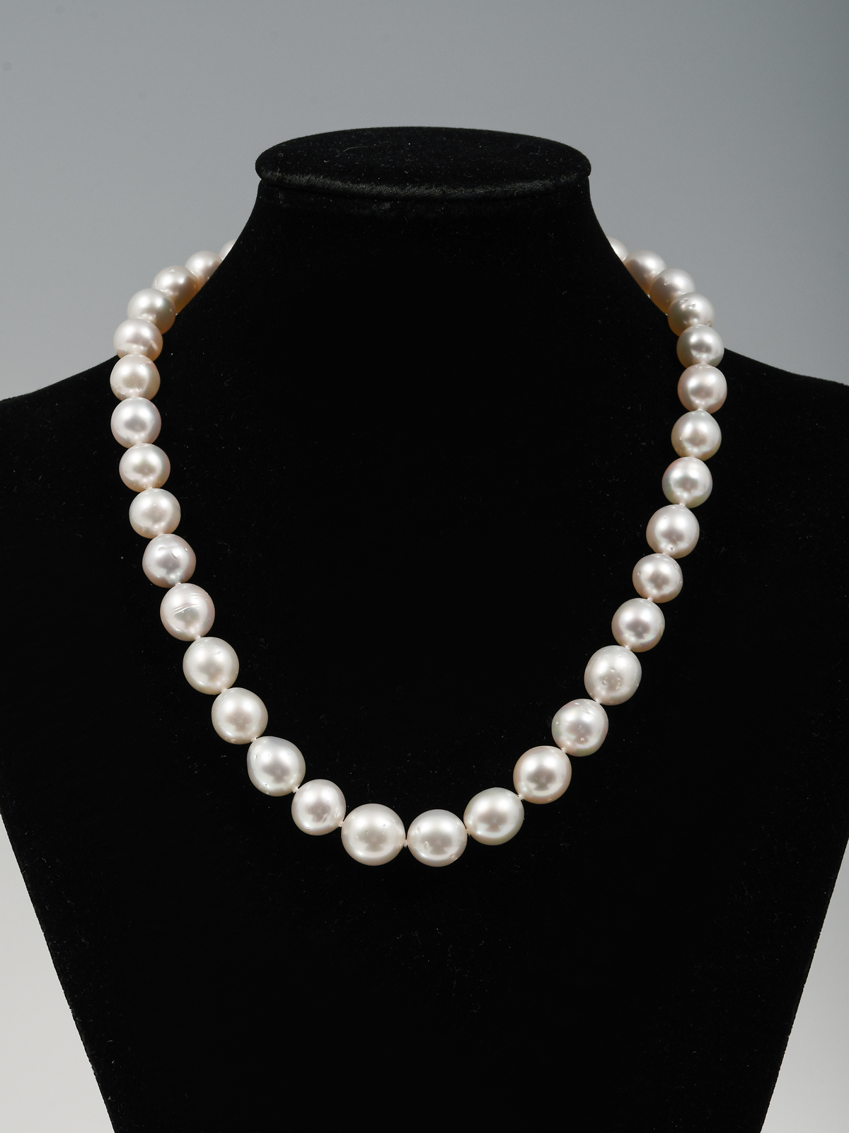 Appraisal: - MM WHITE SOUTH SEA PEARL NECKLACE '' cultured white