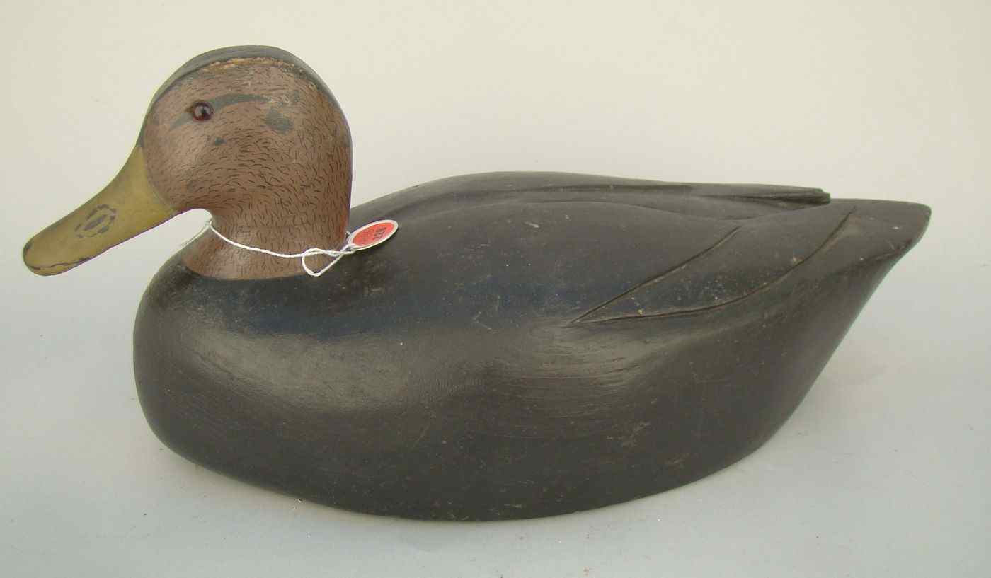 Appraisal: BLACK DUCK DECOYFrom New Jersey Carved wings and original paint