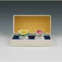 Appraisal: Royal Adderly floral china salt pepper shakers in presentation box