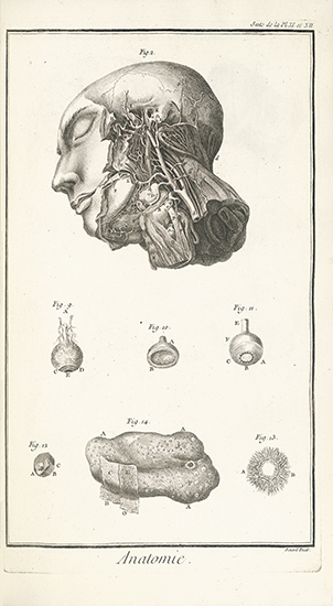 Appraisal: DIDEROT and d'ALEMBERT Encyclop die ou dictionnaire Raisonn des Sciences