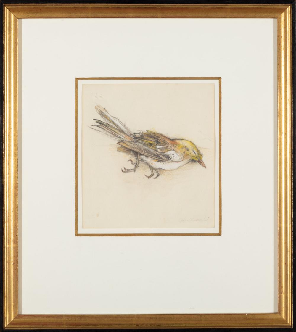 Appraisal: John Alexander American Texas b Sleeping Finch pastel watercolor and