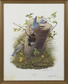 Appraisal: Richard Sloan - Eastern Bluebird Plate No colored print pen