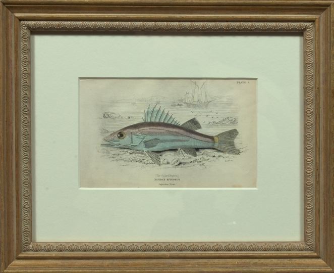 Appraisal: Sir William Jardine British th Century Fish suite of five