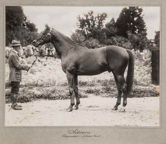 Appraisal: Griggs Frank photographer of Newmarket Photograph Album of Racehorses silver