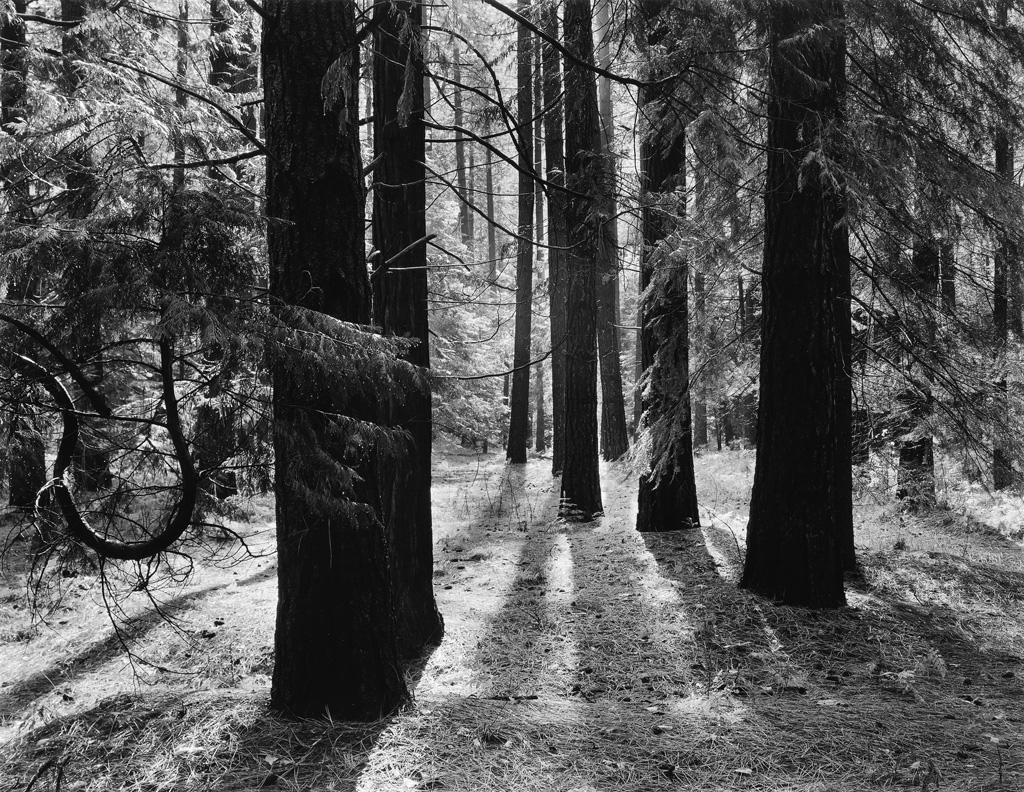 Appraisal: ANSEL ADAMS Yosemite and the Range of Light The extremely