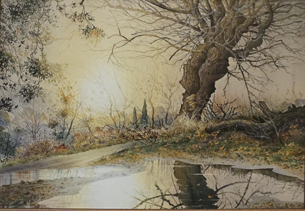 Appraisal: Didier Brousse French b Flooded Forest Path Watercolor on Paper