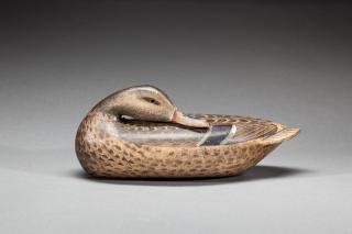 Appraisal: Sleeping Mallard Hen by Charles H Perdew Charles H Perdew