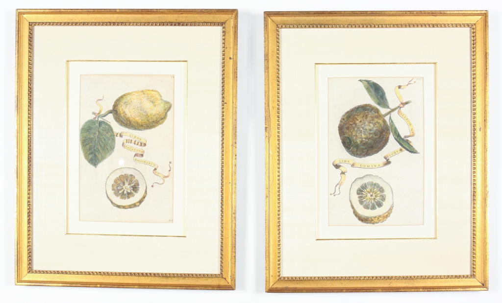 Appraisal: TWO GIOVANNI FERRARI PRINTS OF LEMON AND LIME Published by