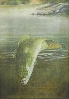 Appraisal: Painting Harry Driscole Harry Driscole American - Bass on the