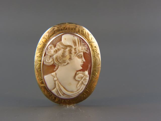 Appraisal: Cameo Brooch portrait of a lady carved shell in k