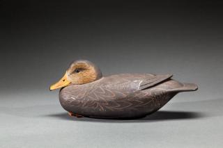 Appraisal: Black Duck John R Holloway b Little Egg Harbor NJc