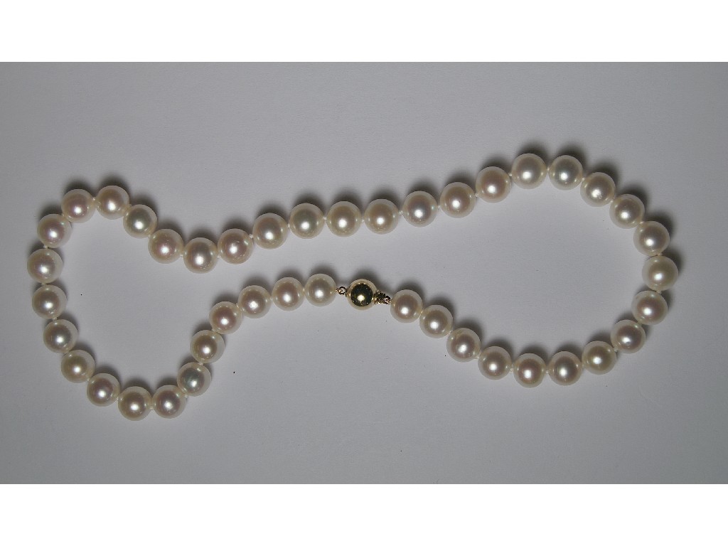 Appraisal: Single row uniform cultured pearl necklace knotted throughout onto yellow