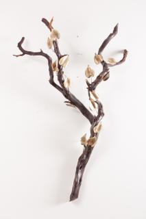 Appraisal: Brutalist Tree Branch Sculpture With natural wooden branch and attached