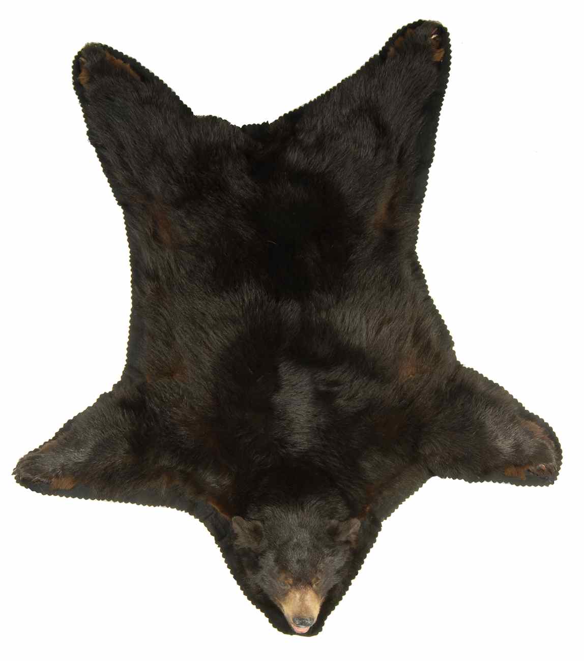 Appraisal: BLACK BEAR SKIN RUG With full head and open mouth