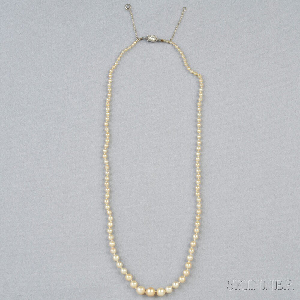 Appraisal: Natural Pearl Necklace composed of pearls graduating in size from