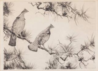 Appraisal: Aiden Lassell Ripley Three Etchings Grouse on Pine Bough by