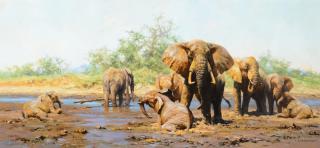 Appraisal: DAVID SHEPHERD b Elephant Heaven DAVID SHEPHERD b Elephant Heaven