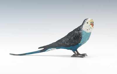 Appraisal: An Austrian Cold Painted Parakeet Statuette Naturalistically modelled parakeet cast