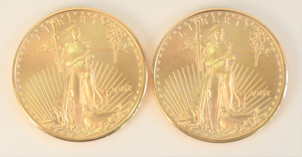 Appraisal: Two Gold Eagles oz each Two Gold Eagles oz each