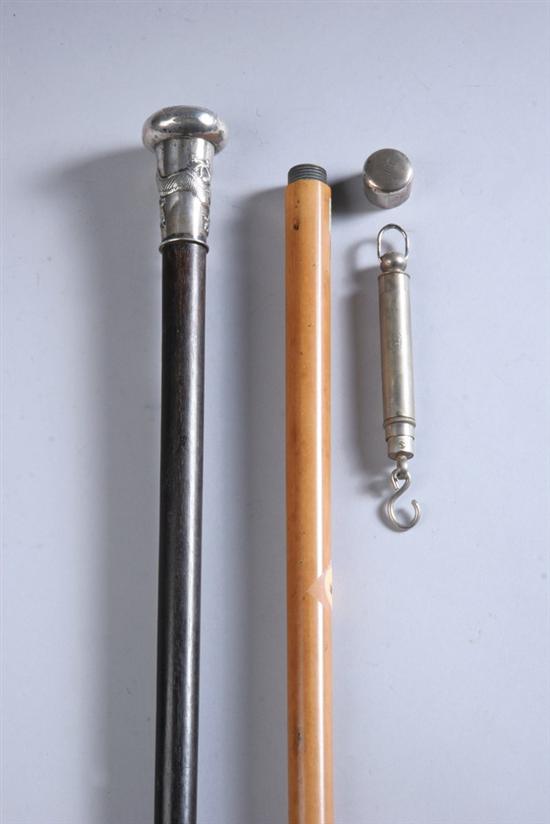 Appraisal: TWO SCALE CANES One with sterling silver handle with relief-carved