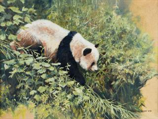 Appraisal: Panda at Woolong by John Seerey John Seerey-Lester - oil