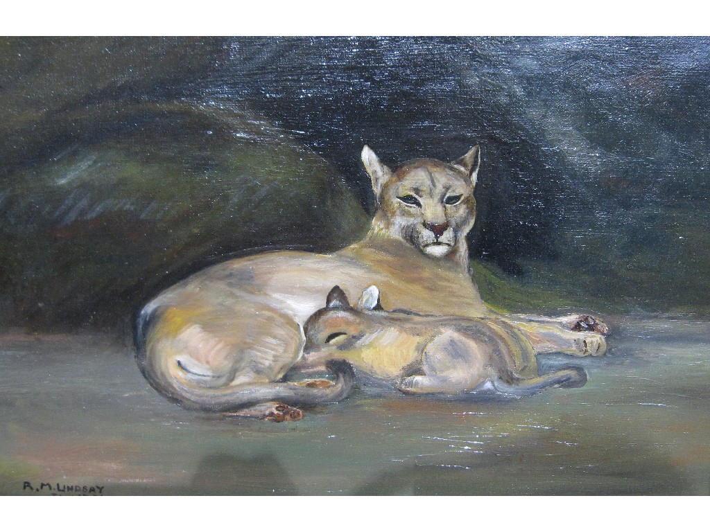 Appraisal: Oil on canvas 'Lioness and Cub' signed A M Lindsay