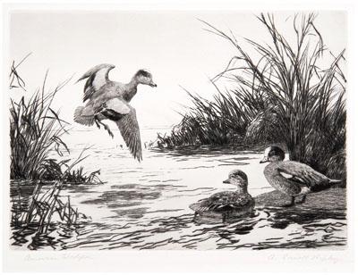 Appraisal: Ripley Federal duck stamp print American Wigeons with accompanying stamp