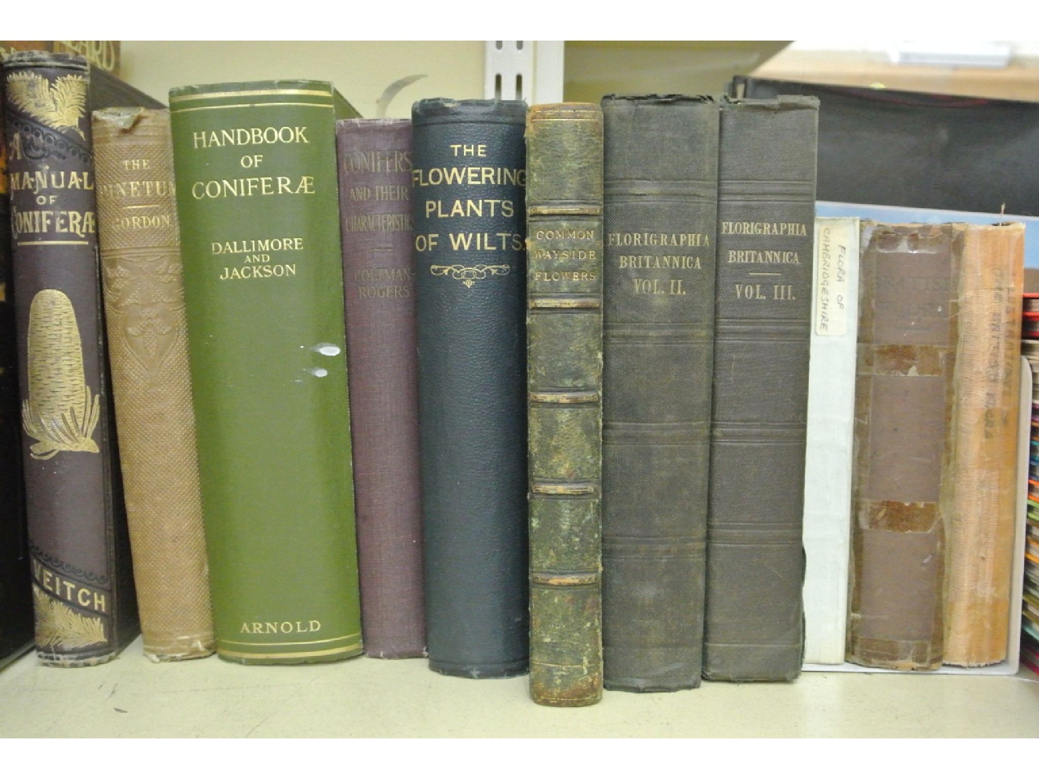 Appraisal: A small collection of books on conifers The Flowering Plants