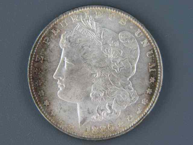 Appraisal: Morgan Silver Dollar uncirculated