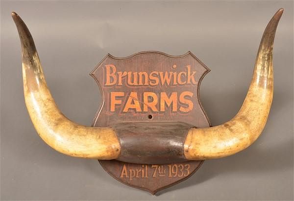 Appraisal: Brunswick Farms Steer Horn Wall Plaque Vintage Brunswick Farms Steer