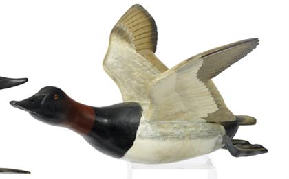 Appraisal: Carved and painted Canvasback james corb reed - chincoteague va