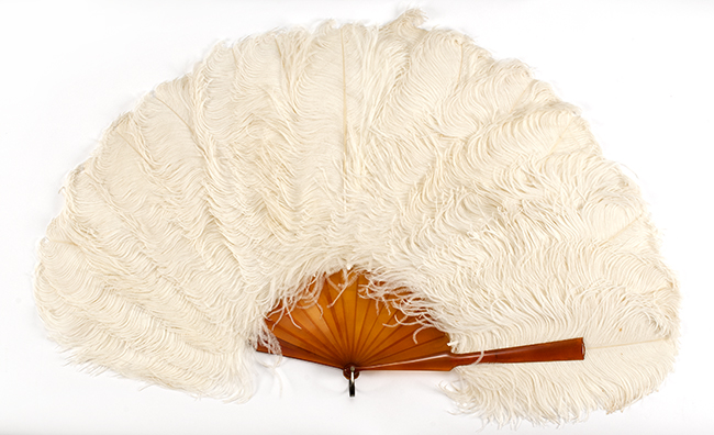 Appraisal: WHITE OSTRICH FEATHER AND CELLULOID FAN Early th CenturyBeautiful white