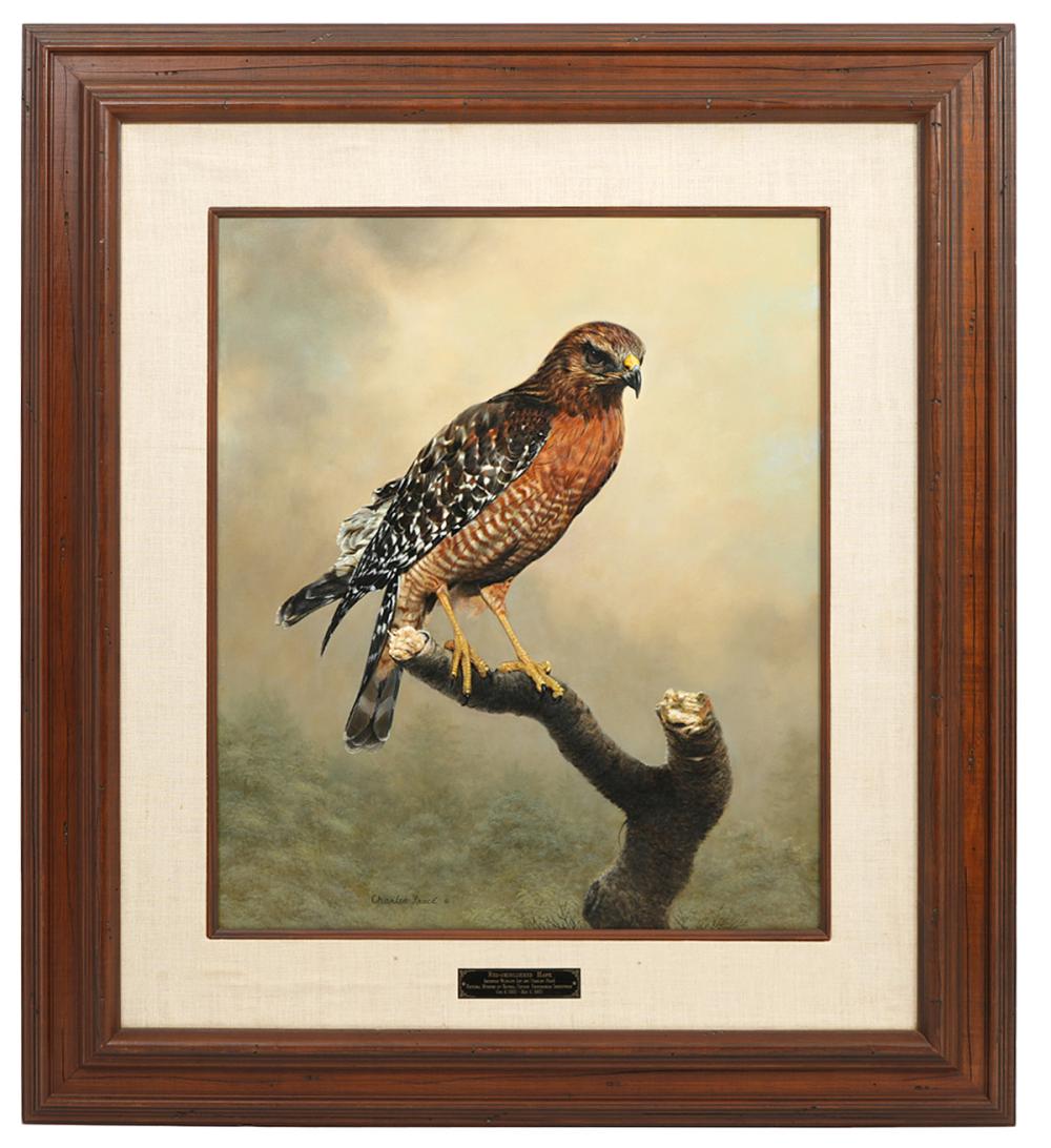 Appraisal: Charles Frace American - 'Red Shouldered Hawk' Acrylic and oil