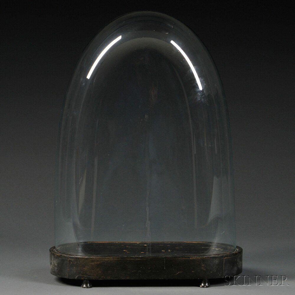 Appraisal: Large Glass Dome with Base black painted wooden base with