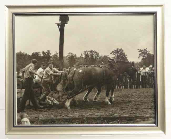 Appraisal: Vintage Al Macy photograph of horse pull in Vermont C