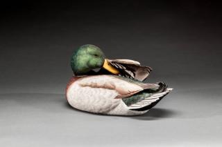 Appraisal: Mallard Drake Randy Tull b Hayward WI Charles Buddy Harris