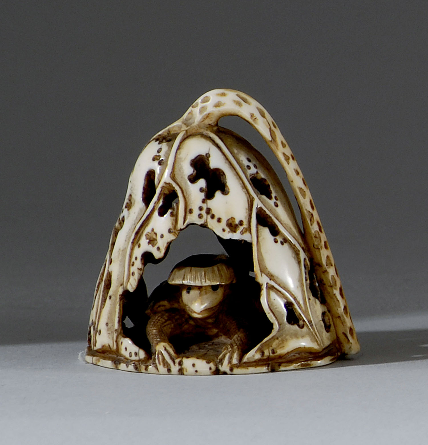 Appraisal: IVORY NETSUKE th CenturyIn the form of a kappa nesting