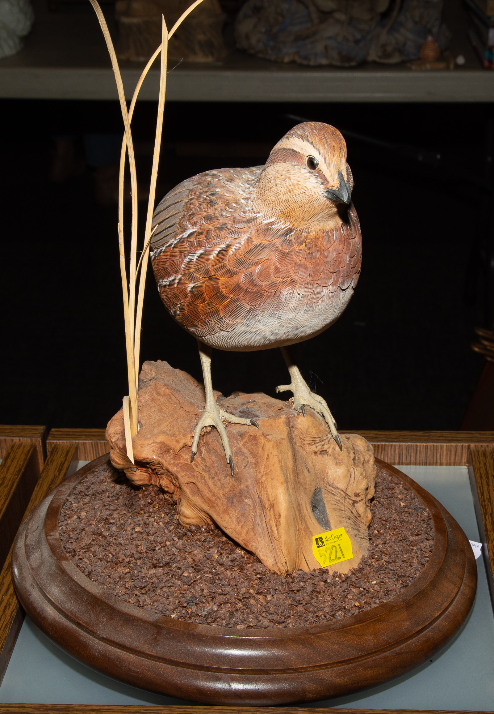 Appraisal: LIFE SIZE CARVED WOOD BOB WHITE QUAIL Signed Al Burk