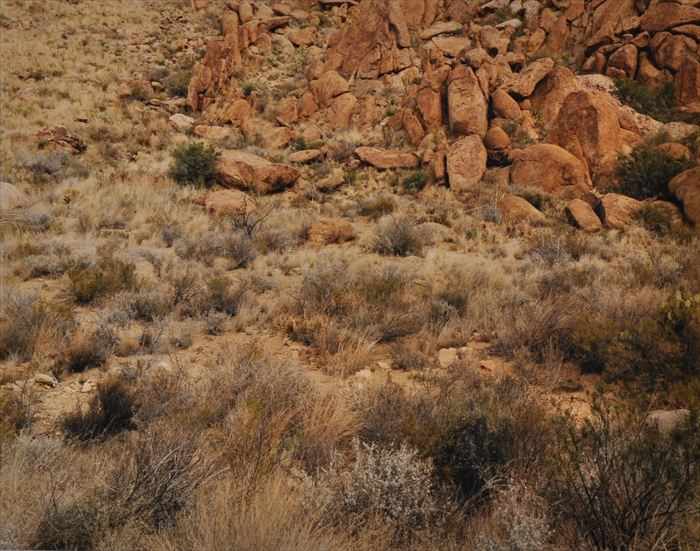 Appraisal: STEPHEN SHORE b UVALDE COUNTY TEXAS Ektacolor print x in