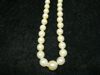 Appraisal: Pearl strand necklaceCream luster cultured pearls graduating in size from