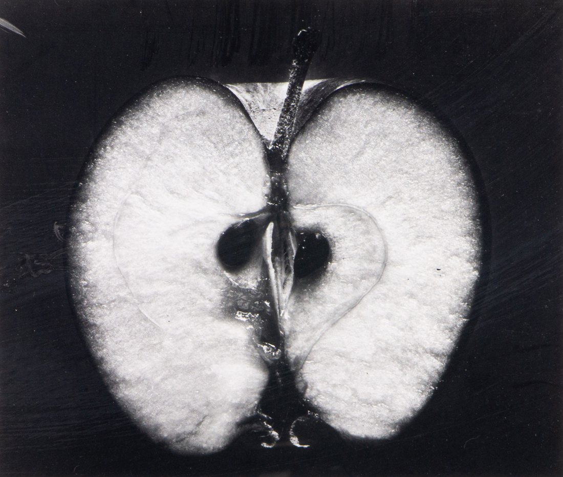 Appraisal: PHOTOGRAPH WYNN BULLOCK Wynn Bullock American - Half an Apple