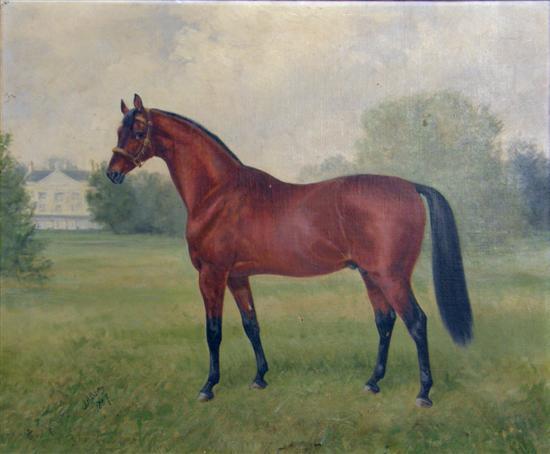 Appraisal: J A B Jay study of Chestnut horse signed and