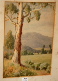 Appraisal: JOHN MATHER MOUNT JULIET HEALESVILLE WATERCOLOUR