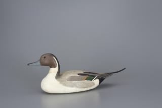 Appraisal: Pintail Drake James Corb Reed Pintail Drake James Corb Reed