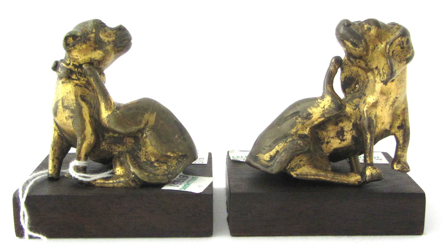 Appraisal: A pair of Chinese gilt-bronze figures of dogs th th