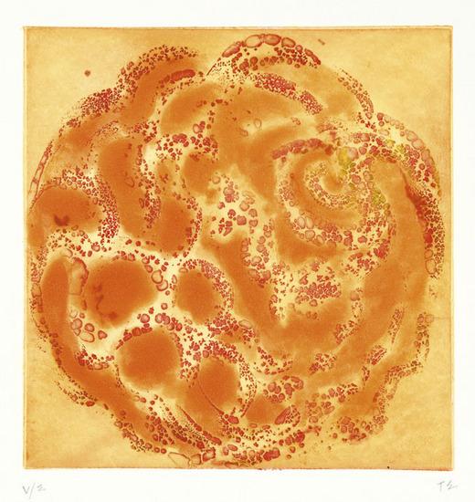 Appraisal: Tina EisenbeisOrange Lotus Etching printed in colors initialed in pencil